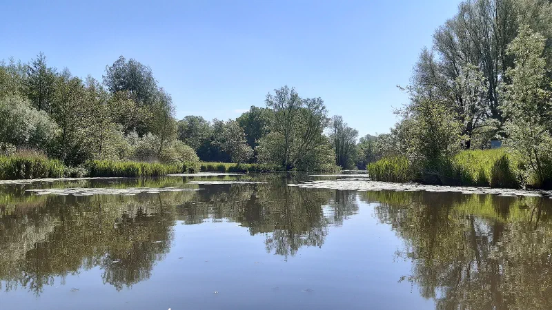 Zomer in het Westerpark in Zoetermeer: kalm water met de weerspiegeling van bomen in vol blad onder een blauwe lucht